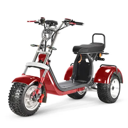 Sunra Electric Express Tricycle: Professional Manufacturer's 4000W Recreational Electric Tricycle