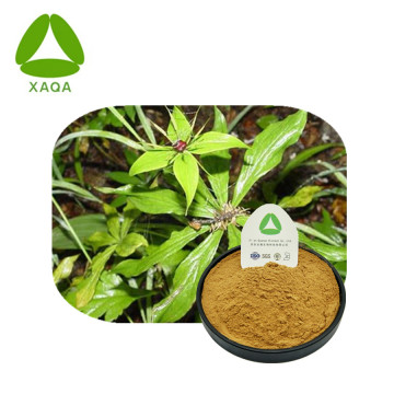 Paris Polyphylla Extract Powder RhizomaParidis