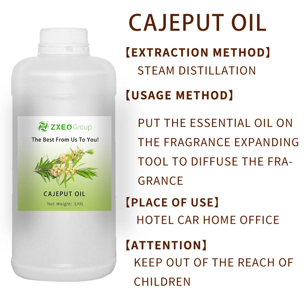 Cajeput Essential Oil | Melaleuca Leucadendron Cajuputi Aceite - Aceites esenciales puros y naturales - Precio a granel al por mayor