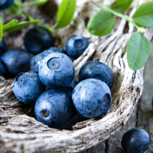 Flavored Blueberry Concentrated Juice