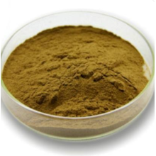 Mulberry Leaf Extract Powder DNJ Natural Reduce Blood