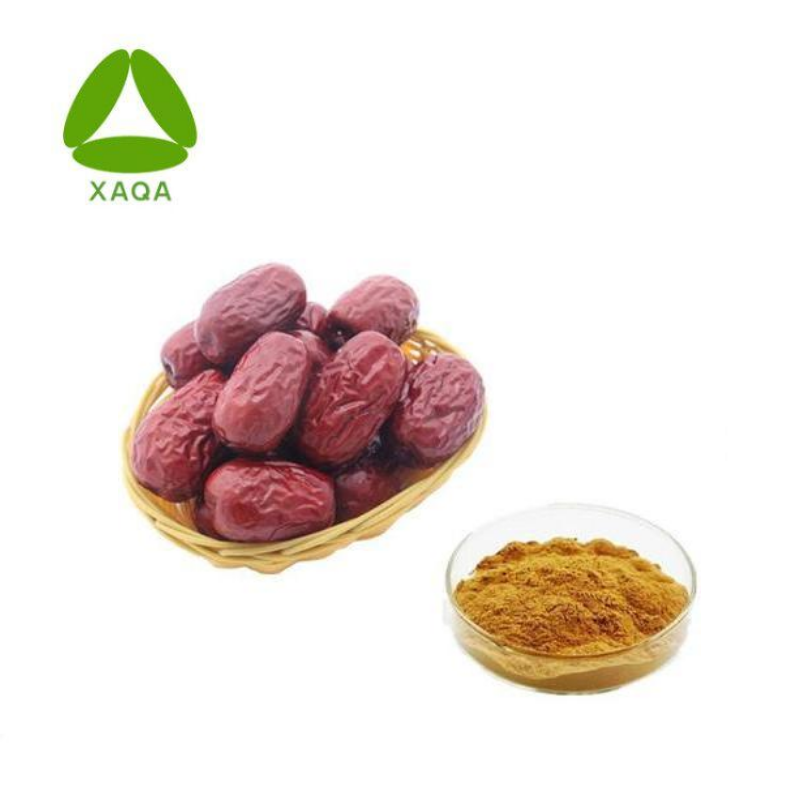 Jujube Extract Chinese Date Powder 10: 1