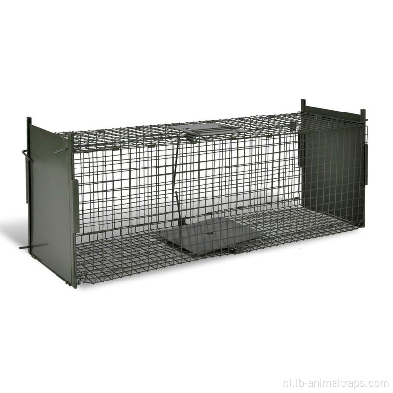 PVC Invouwbare grote live kooivraai