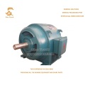 hot sale competitive-price JR3 Three Phase Induction Motor