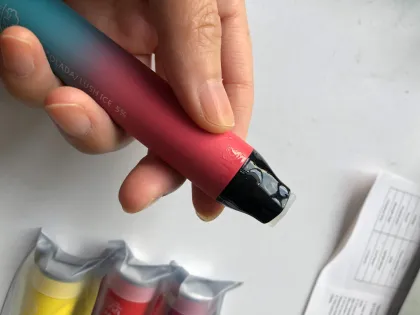 Disposable Vapor Pen Electronic Cigarette