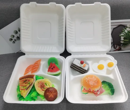 8 inch Disposable Sugarcane Bagasse Food Packaging Box