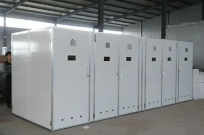 Microcomputer Automatic Egg Incubator