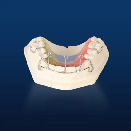 Dental Teeth Orthodontic Appliance