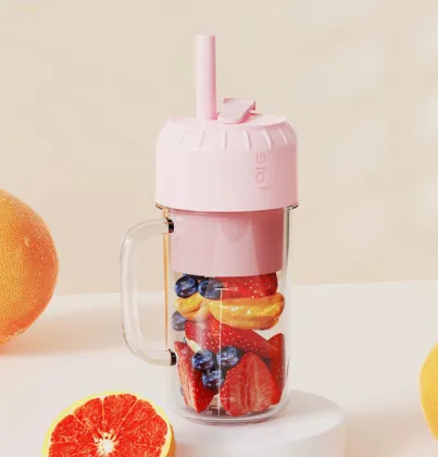 Mini Juicer