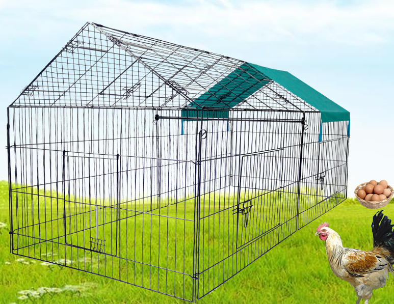 Cage chicken