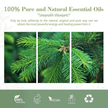 Best Grade 100% Pure Extract Fir Essential Oil For Skin Care