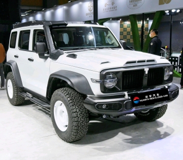 Hot selling Tank 300 in stock 2024 2.0t  GAS PETROL AWD LARGE Vehicle High Quality SUV TANK 300 chinese car on sale