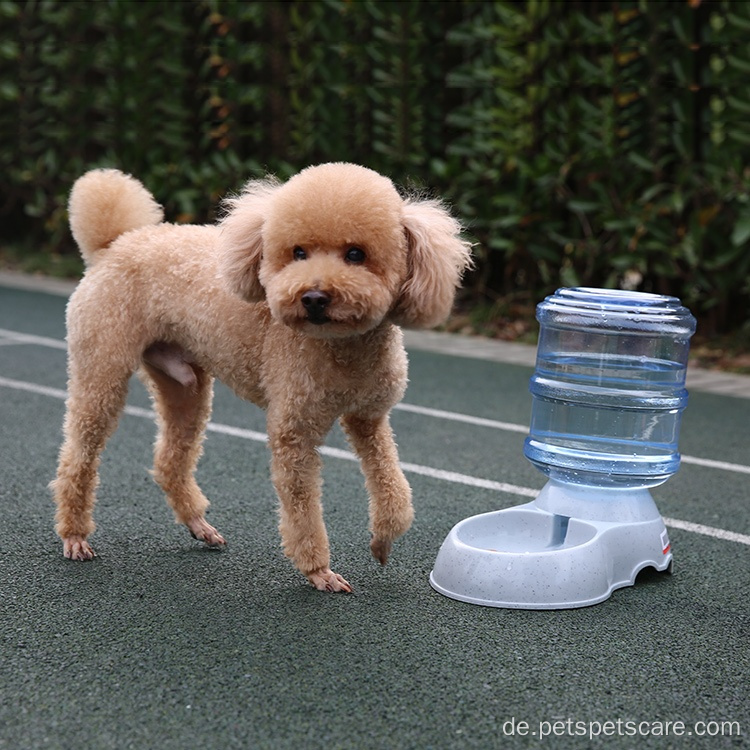 Automatischer Hund Wasserversorger Haustiertrinkenträger