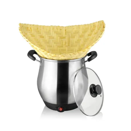 Energy Saving Multi-functional Double Layer Electric Steamer