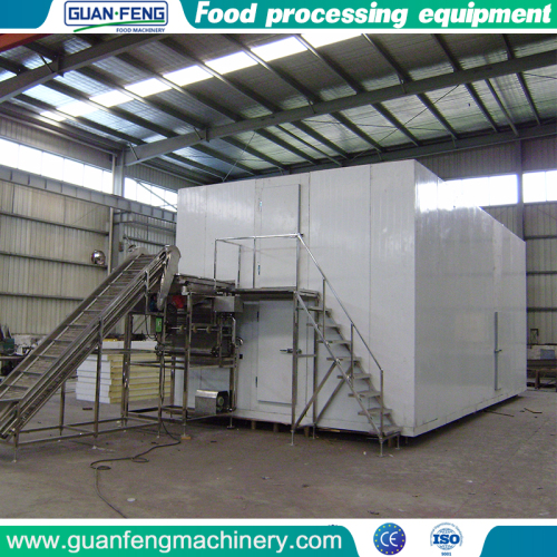 China Mainland quick freezer Refrigeration Equipment quick freezer