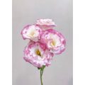 Lisianthus সরাসরি ফার্ম থেকে পিঙ্ক এজ সহ পাইকারি