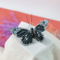 Butterfly nature craft