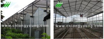 Polycarbonate Greenhouse