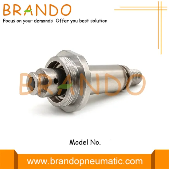 2W040-10 2W160-15 2W250-25 Solenoid Valve SS304 Armature