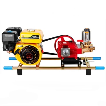 High-Quality 50L Portable Gasoline Engine Agricultural Sprayer with Cart