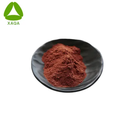 Pycnogenol 98% French Coastal Pine Bark Extract Powder