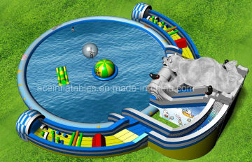 Giant Bear Inflatable Water Park