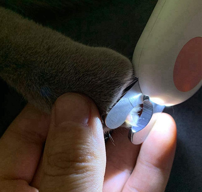 Cat Clippers Blood-Proof Manicure Supplies