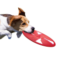 Anjing besar menengah float frisbee