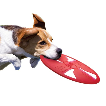 Médio grande cão flutuador frisbee