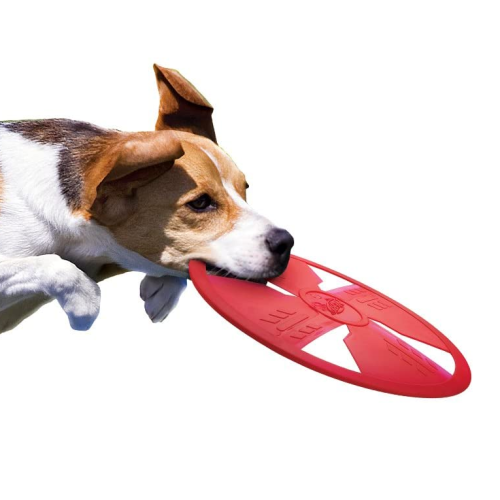 Medium stor hund float frisbee