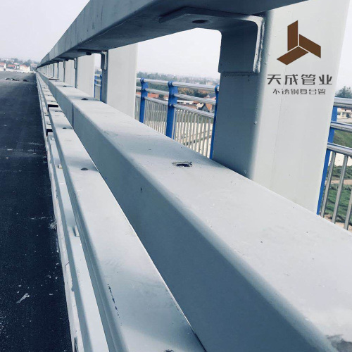 Garde-corps en acier inoxydable durable pour passerelle