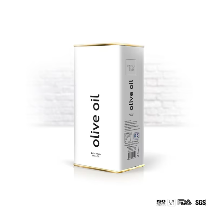 DADI 3L Rectangular Oil Container with Handle Lid