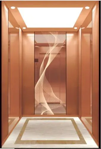 High-Speed Room-Less Passenger Elevator with Low Noise and Affordable Hoist Construction Machinery