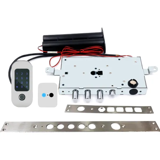 Mansion Digital Lock For Armored Door