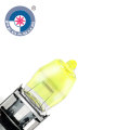 12V 100W Quartz Glass Bulb Auto HOD H3