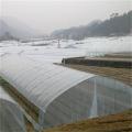 Agriculture Single Tunnel Film Plastic Greenhouse