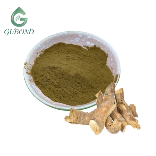 مستخلص تونغكات علي، مسحوق جذر يوريكوما لونجيفوليا الطبيعي