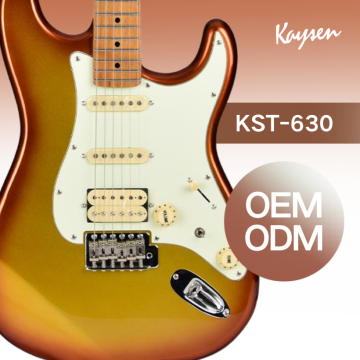 Professional Electric Guitar Solo With Bag