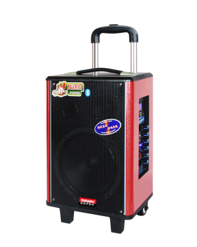 Special Acoustic Outdoor High Power Pull Rod Speaker with 8 Inch Heavy Bass