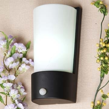 Semi-watercup Wall Lamp
