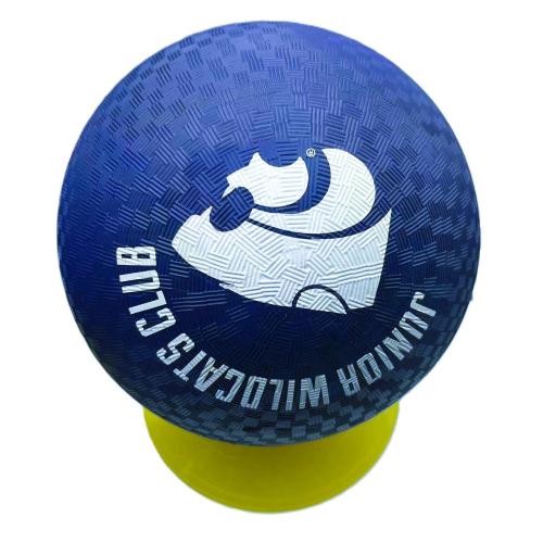 Traditional Inflatable Playground Ball