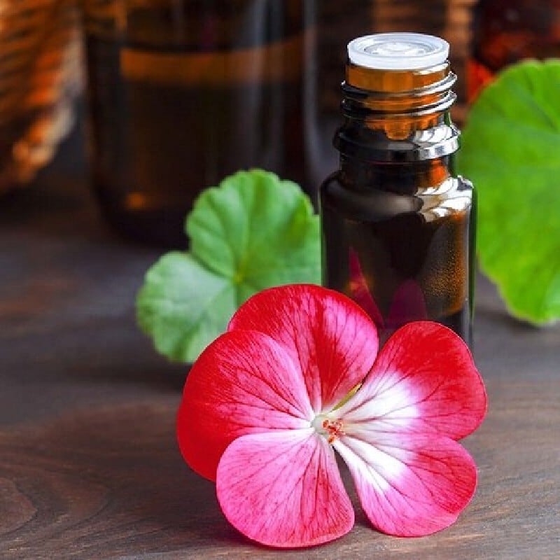 geranium-essential-oil