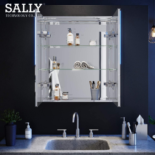 SALLY Double Door Bathroom LED Storage Mirror Cabinet