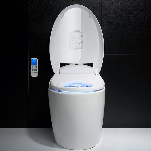 spa hydropool P-Tray Two Piece Intelligent Toilet Supplier