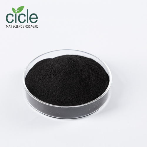 Potassium Humate Powder Powerful Biostimulant