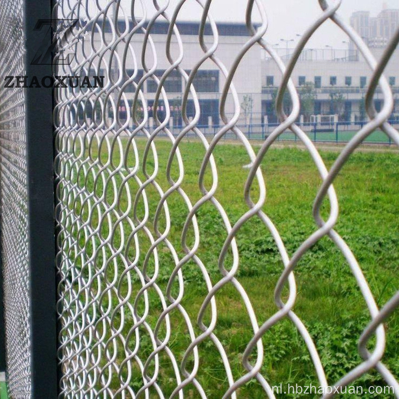 Gegalvaniseerd PVC gecoate kettingverhinkhek