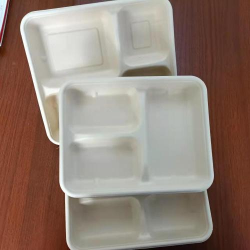 Biodegradable 4-compartment lunch tray sugarcane disposable food container sugarcane bagasse lunch tray