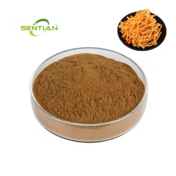 Cordycepin Powder Cordyceps Extract