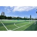Gazon synthétique de gazon de football pour terrain de football