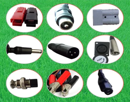 24V12A Lithium/LiFePo4/LiMn Battery Charger with CE&ROSH